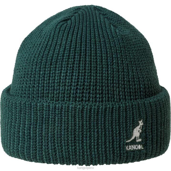 gorro cardenal de 2 vías unisexo Kangol accesorios pino B4VR866