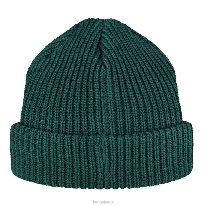 gorro cardenal de 2 vías unisexo Kangol accesorios pino B4VR866