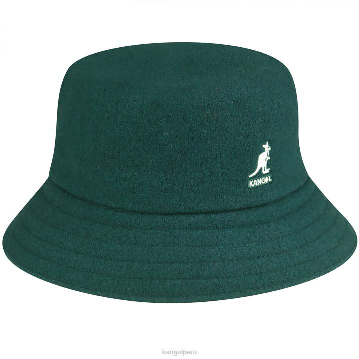 lana de lana unisexo Kangol accesorios pino B4VR693