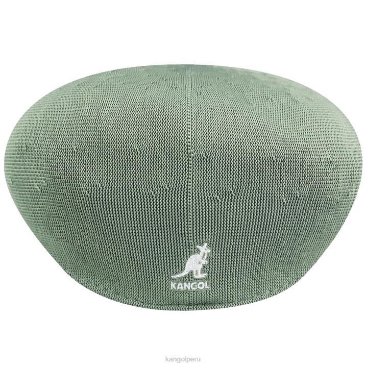 trópico 504 unisexo Kangol accesorios aceite verde B4VR62